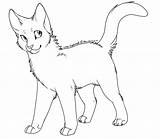 Cat Lineart Warrior Cats Coloring Drawing Transparent Outline Pages Template Line Warriors Bluestar Drawings Kitten Oc Clipart Google Clip Library sketch template