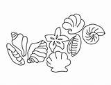 Seashell Coloring Pages Printable Clipart Pattern Library sketch template