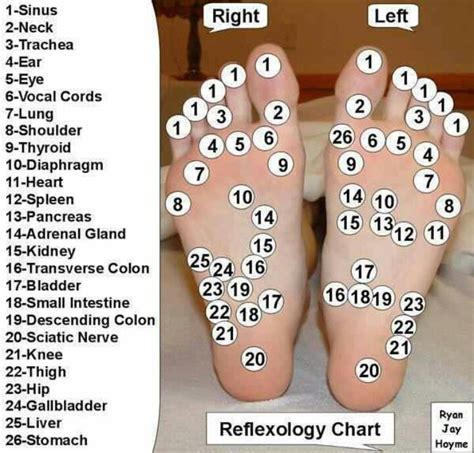 Pressure Points For A Foot Massage Reflexology Reflexology Chart