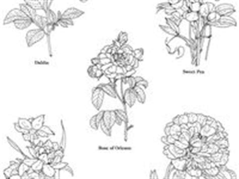 printables flowers ideas flower drawing coloring pages