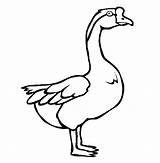 Goose Coloring Pages Animal Color Animals Swan Kids Endangered Printable Thecolor Gif Sheets Print Back Mother Results sketch template