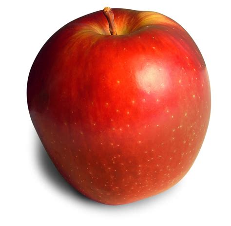 apple  photo  freeimages