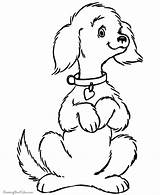 Dog Coloring Pages Print Sheets Printable Color Animal Cute Sheet Printing Help sketch template