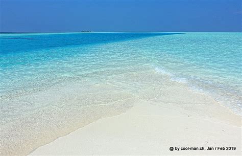 Maldives Male And Rasdhoo Islands Great Snorkeling