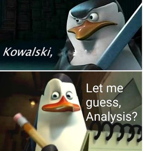 the best kowalski analysis memes know your meme