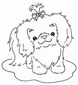 Tzu Shih Coloring Cute Pages Dog Puppy Stamps Digi Drawing Colouring Sliekje Color Print Embroidery Tekenen Bow Choose Board Digital sketch template