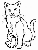 Colorear Para Gatos Cat Gato Plantillas Pagina Silvestris Felis Imagenes sketch template