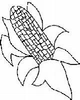Corn Coloring Husk Sheets Ear Sheet Craft Projects Kids sketch template