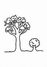 Coloring Pages Kids Tree Trees Printable sketch template