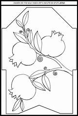 Coloring Pomegranate Jewish Pages Crafts Patterns Template Glass Painting Rosh Hashanah Kids Hags Printable Adult Mosaic Fabric Flying Bird sketch template