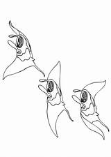 Manta Swimming Ray Coloring sketch template
