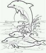 Mewarnai Dolphin Lumba Delfin Dolphins Malen Pemandangan Erwachsene Dover Ausdrucken Alam Malvorlagen Tk Temonggo Natureza Ausmalbild Delphin Delfine Laut Delfines sketch template