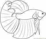 Fish Betta Coloring Pages Fighting Drawing Siamese Pdf Printable Template Getdrawings Kids Getcolorings Color Print Fishes sketch template