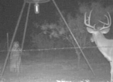 terrifying pictures captured  trail cameras