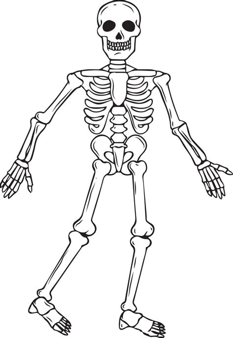 printable skeleton halloween coloring page  kids  supplyme
