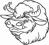 Bison Head Coloring Size sketch template