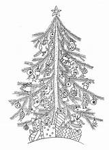 Tree Christmas Simple Coloring Pages Adult Adults sketch template