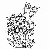 Kleurplaat Vlinder Kleurplaten Bloem Blume Leuk Voor Leukvoorkids sketch template