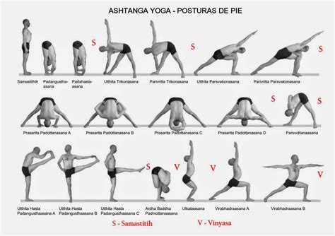 standing yoga poses  beginners work  picture media work