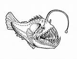 Angler Anglerfisch Pez Peces Abisal Marinos Monstruos Dibujo Search บ อร อก Seeteufel นท öffnen Freecoloringpages Fisch เล จาก источник sketch template