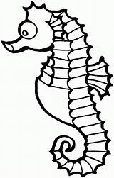 Cartoon Seahorse Cliparts Coloring Pages Documents sketch template