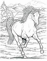Horse Printable Mustang Pages Coloring Color Getcolorings sketch template