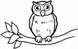 Coloring Pages Owl Cute Popular sketch template