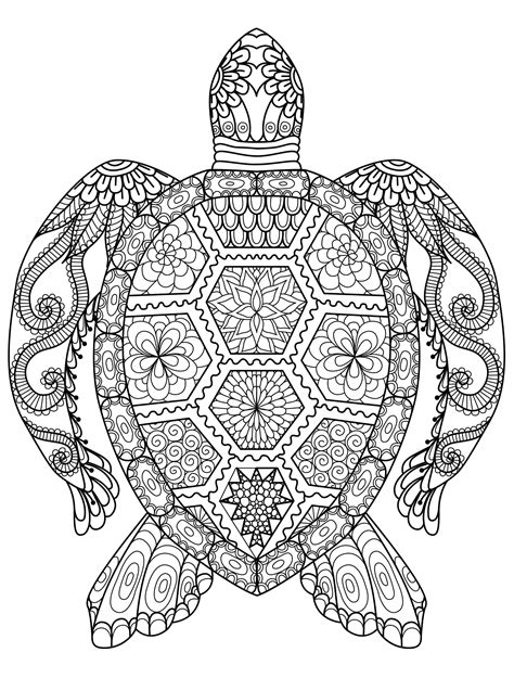 decorative turtle coloring page  coloring pages
