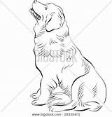 Newfoundland Breed Hound sketch template