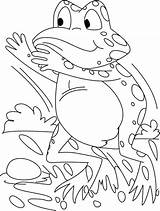 Frog Coloring Pages Kids Frogs Drawing Tree Forget Supplies Don Getdrawings sketch template