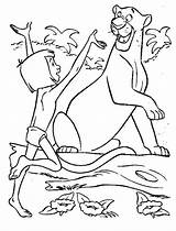 Bagheera Mowgli Selva Ausmalbild Kaa Kidsplaycolor Pasaje Malvorlage Schlange Dschungelbuch sketch template