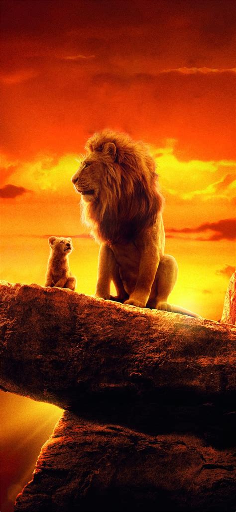 lion king hd iphone wallpapers wallpaper cave
