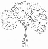 Outline Drawings Colouring Bunch Tulips Stamps Digi Malvorlagen Digital sketch template