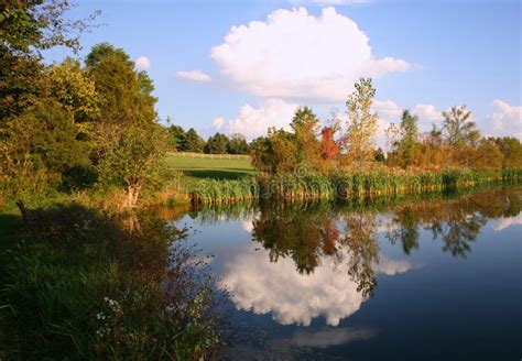 beautiful farm pond scene royalty  stock image image