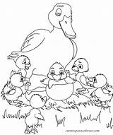 Feo Patito Duckling Desees Imprimirlas sketch template