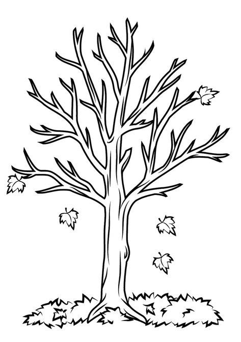 bare tree coloring page easy  images tree coloring page fall