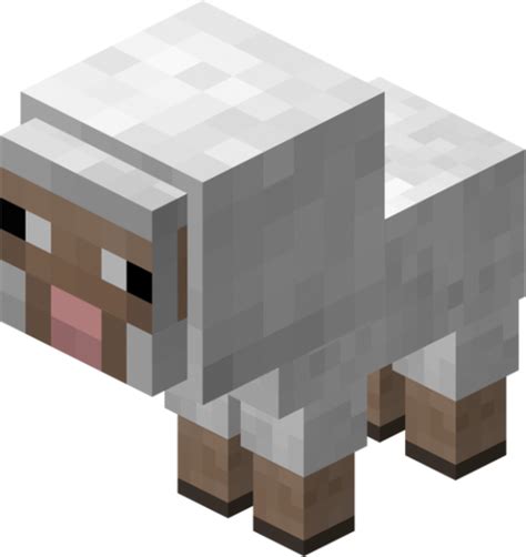 sheep minecraft wiki wikia