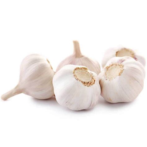 white garlic fresh garlic productssouth africa white garlic fresh