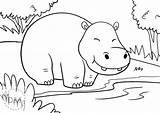Nilpferd Ausmalen Hippo Malvorlage Vorlagen sketch template