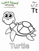 Colouring Pages Turtle Alphabet Coloring Turtles Kids Snake Printable Color sketch template
