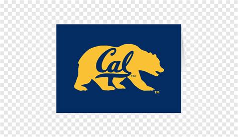 university  california berkeley california golden bears football