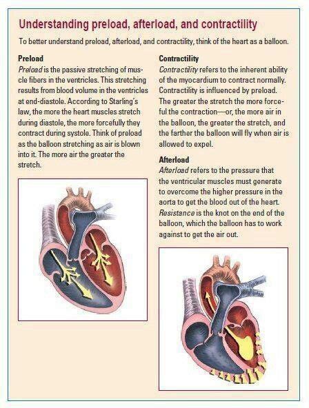 preload afterload  contractility nursing  destinydeath