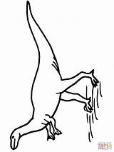 Coloring Hypsilophodon Dinosaur Cretaceous Ornithopod Period Pages Version Supercoloring Color Online Printable Dinosaurs sketch template