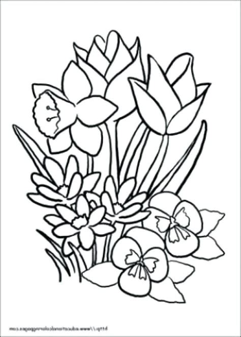 coloring books  seniors spring coloring sheets printable flower