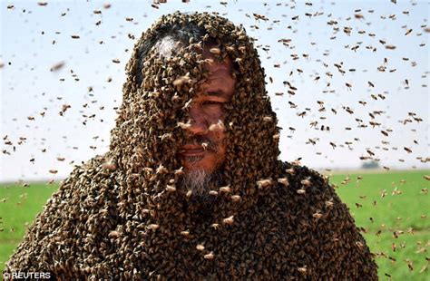 beekeeper covered  bugs  guinness book  records attempt daily