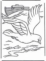 Noach Ark Kleurplaten Pigeon Noah Gaviota Arche Malvorlagen Bijbel Testament Voyageur Nukleuren Knutselen Bibel Oude Kleurplaat Gaviotas Noas Tekeningen Coloring sketch template