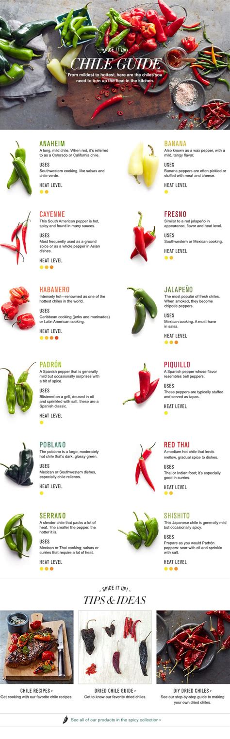 The Gallery For Types Of Chili Peppers Chart