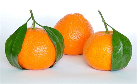 mandarino guida alle proprieta benefiche  terapeutiche