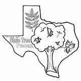 Coloring Texas Pages Comments sketch template