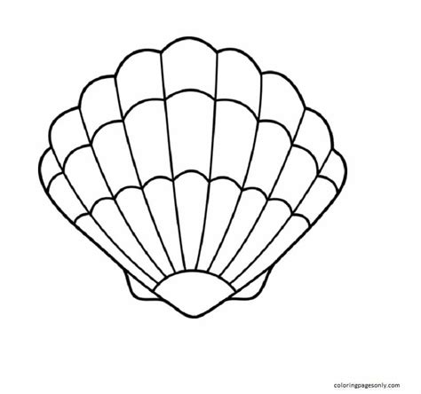 clam coloring page